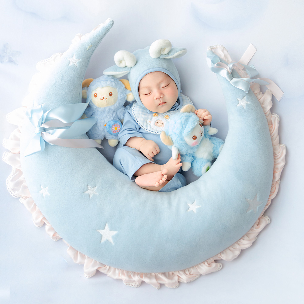 Cute Sheep Newborn Photography - Infant Photography Props Outfit 评论和价格